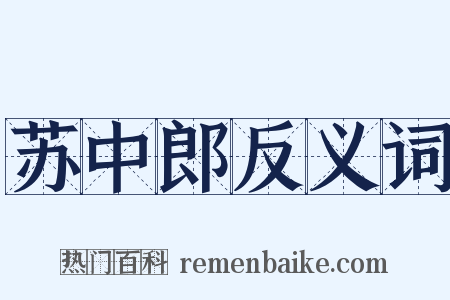 苏中郎反义词是什么意思的图片